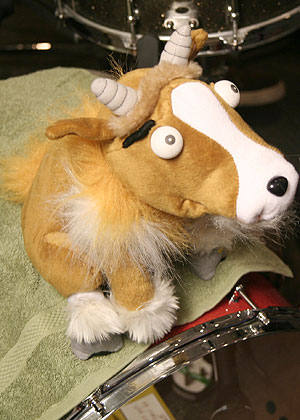 Random toy they found in the Live Lounge!