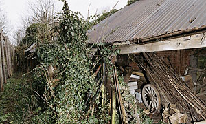 Chedham's Yard