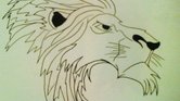My lion drawing... My lion drawing...