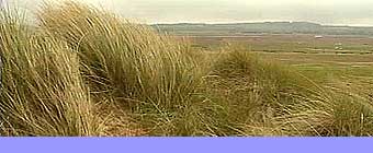 Brancaster today