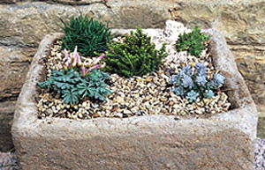 Alpines