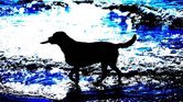 Dog in sea Dog in sea