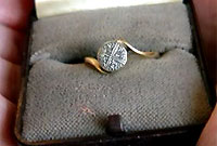 Diane Jarvis: Mary & Ted & The Ring of Love