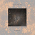 Review of Ekstasis