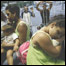 Epidemia de dengue pressionou serviços de saúde no Rio