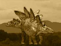 Stegasaurus