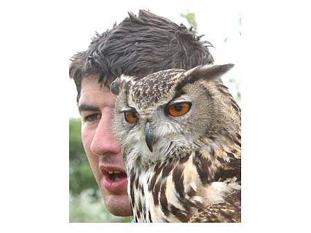 Owl