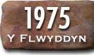 Blwyddyn