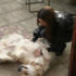 Cheryl plays with Jo's dog.