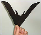 Picture: bend the bat so that its wings stand up