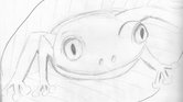 Frog Frog