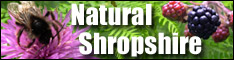 Nature and wildlife features across Shropshire