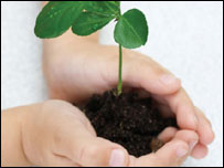 Free trees