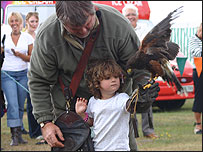 Birds of prey