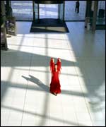 PIcture: Martin Figura's Flamenco.