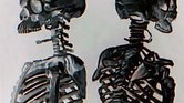 Duo skeletons... Duo skeletons...
