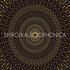 Review of Kaleidophonica      