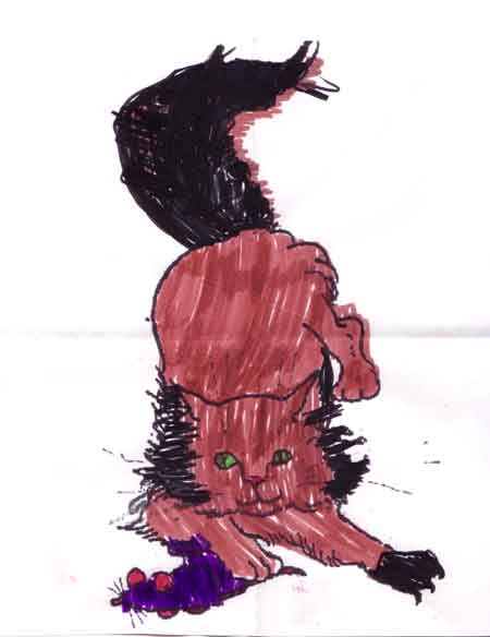 'Click' to see other pictures