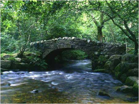 Bridge