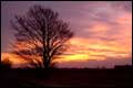 Sunrise over Southill, Beds.