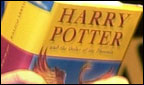 The Order of the Phoenix