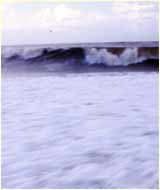 sea