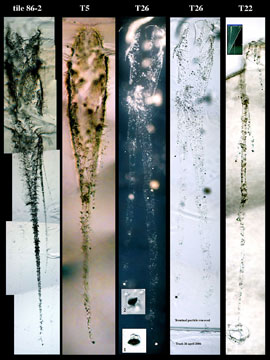 Cometry dust tracks in aerogel, 2006, photo courtesy of Nasa.