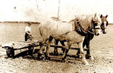 Image of a farm worker with a team of horses