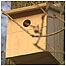 Nest box