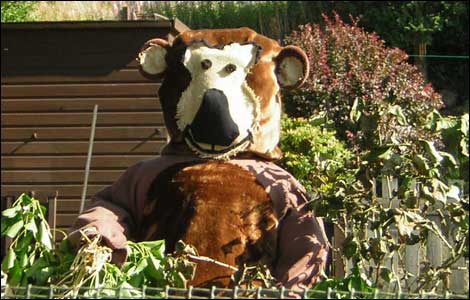 norland scarecrow festival