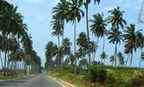 The Cape Coast, Ghana