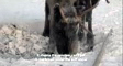 nenets's video screenshot thumbnail