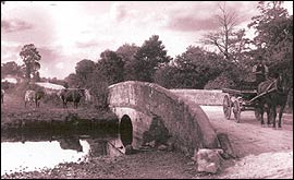 Image of a rural scene at Stoke Canon
