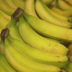 Bananas