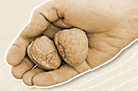 roman balls