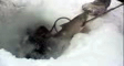 nenets's video screenshot thumbnail