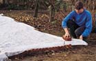 covering the soil