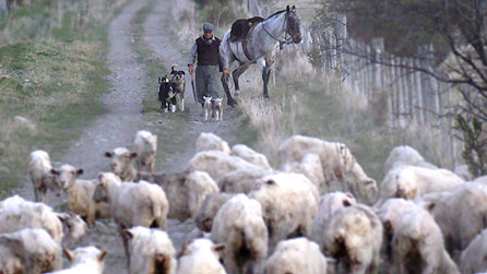 Darlun o Batagonia
