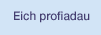 Eich profiadau