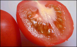 Sliced tomato 