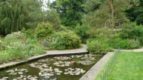 The Garden