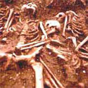 Image of skeletons