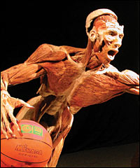 Basketball player