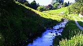 Follow the Stream