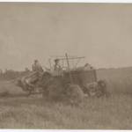 My father and grandfather cutting the corn - August 1940, Goddards Farm, Thaxted, Essex My father and grandfather cutting the corn - August 1940, Goddards Farm, Thaxted, Essex