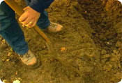 Digging in the trenches
