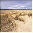 Strathbeg c/o RSPB Images  and Andy Hay