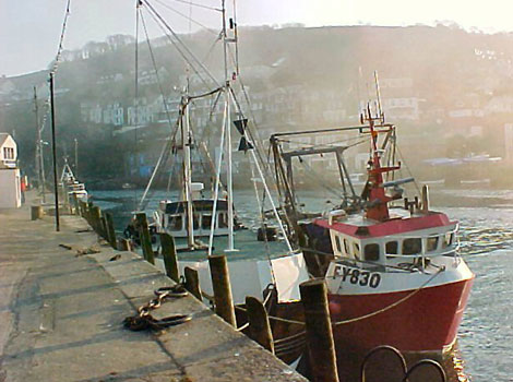 Looe harbour