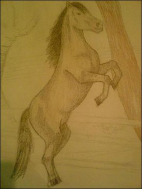 Playful Horse