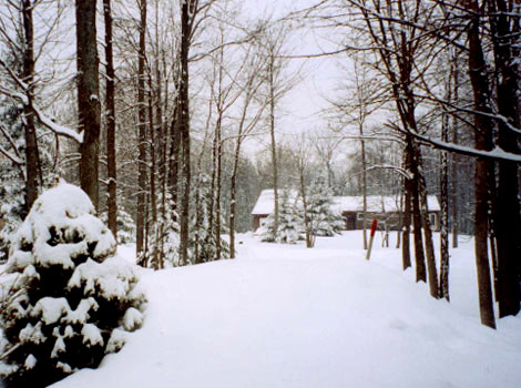 Snowy Ottawa in Canada